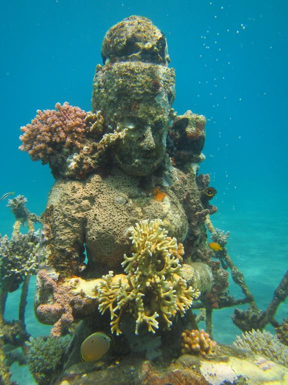 Biorock Homestay Pemuteran  Luaran gambar